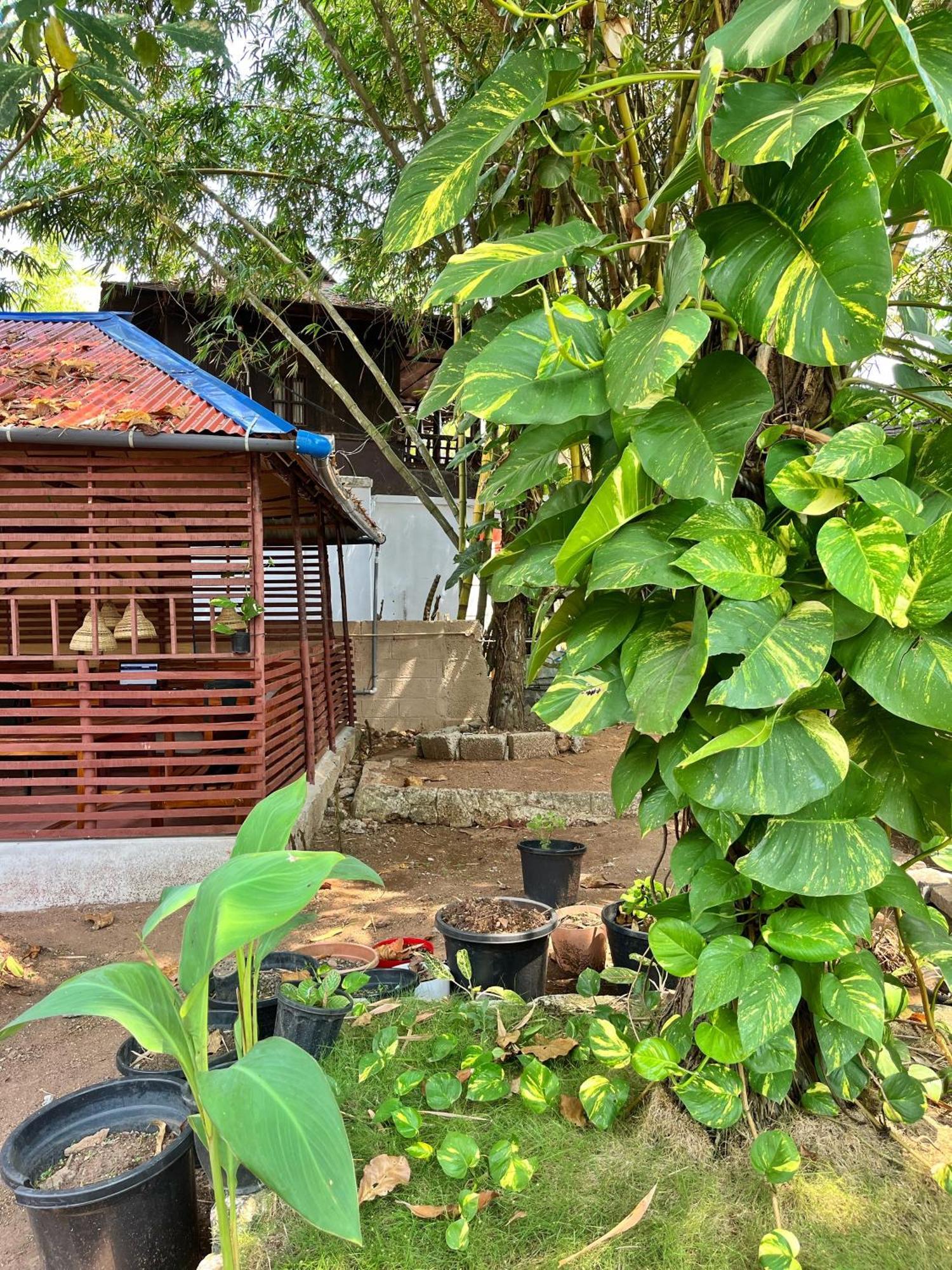 Bava Beach Resort & Retreat Center Varkala Kültér fotó