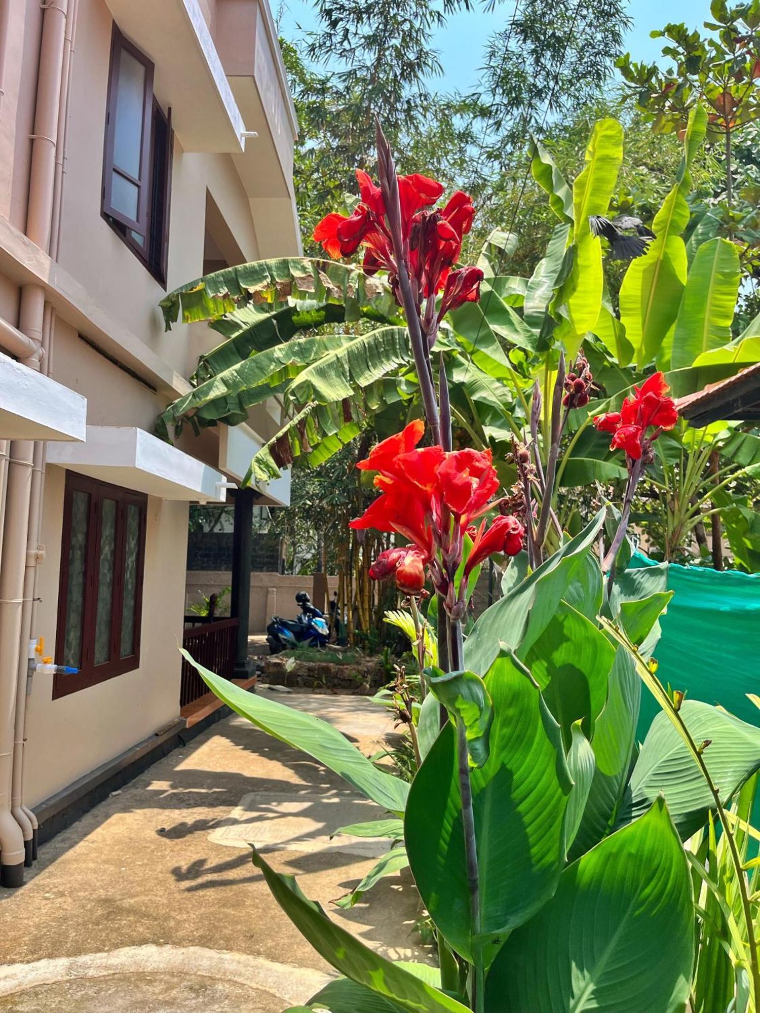 Bava Beach Resort & Retreat Center Varkala Kültér fotó
